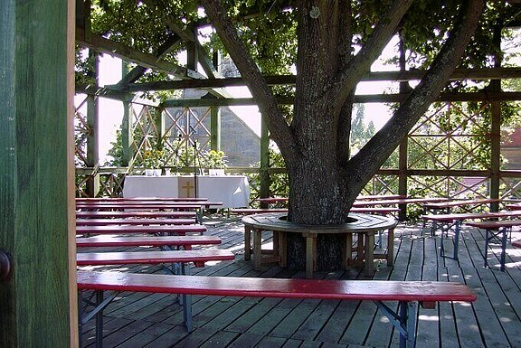 PIC_0005.jpg  