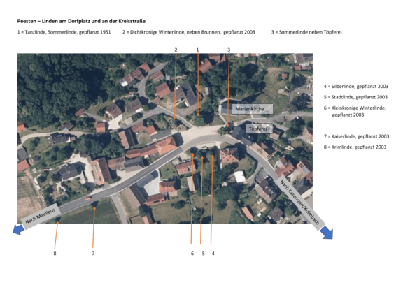 linden-am-dorfplatz.png